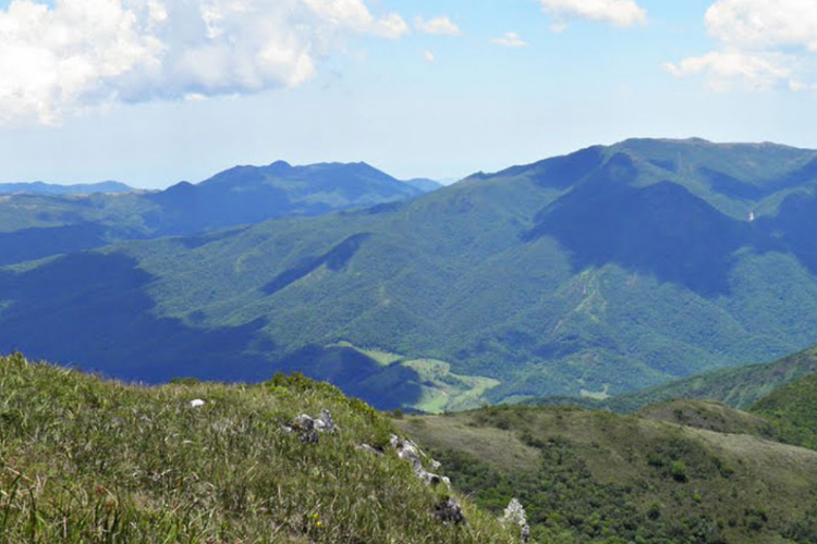 Trilha Pico do Tabuleiro
