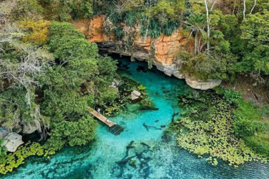 fazenda pratinha chapada diamantina